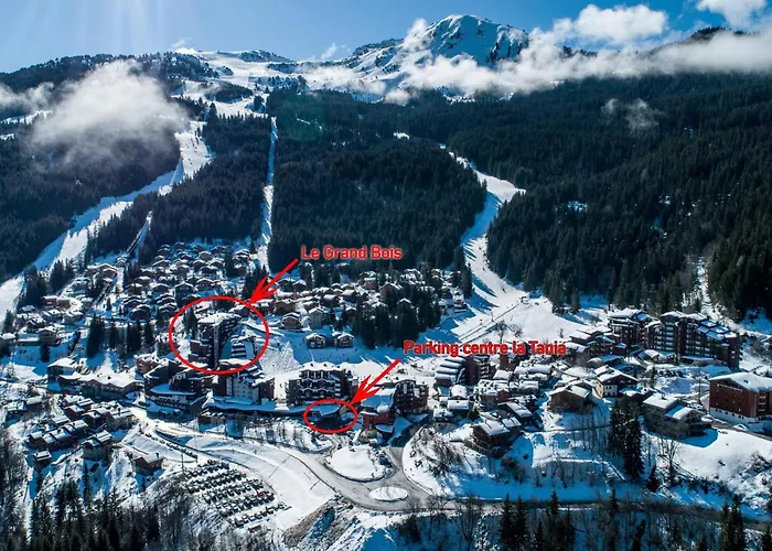 Confortable 2 Pieces, Skis Aux Pieds, Proche Commerces, 4 Personnes - Fr-1-182a-39