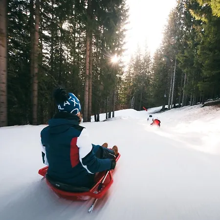 Confortable 2 Pieces, Skis Aux Pieds, Proche Commerces, 4 Personnes - Fr-1-182a-39 *